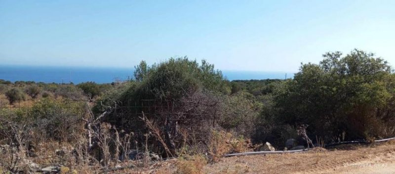 Kokkino Chorio Kreta, Kokkino Chorio: Grundstück mit uneingeschränktem Meerblick zu verkaufen Grundstück kaufen